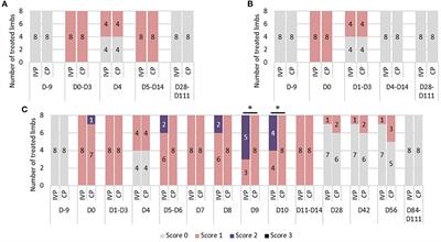 The Evaluation of Equine Allogeneic Tenogenic Primed Mesenchymal Stem Cells in a Surgically Induced Superficial Digital Flexor Tendon Lesion Model